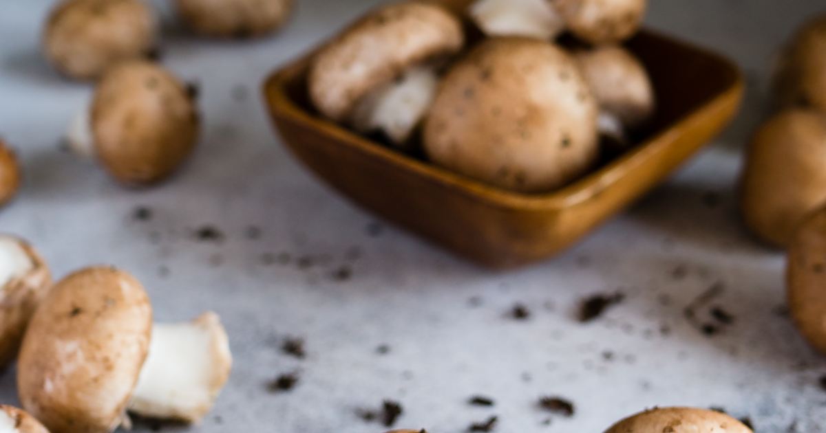 İstiridye Mantarı Yetiştiriciliğine Başlangıç Rehberi